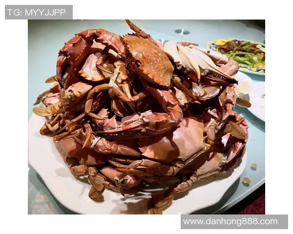 体彩篮球304场次太阳队对阵篮网队精彩对决分析与预测