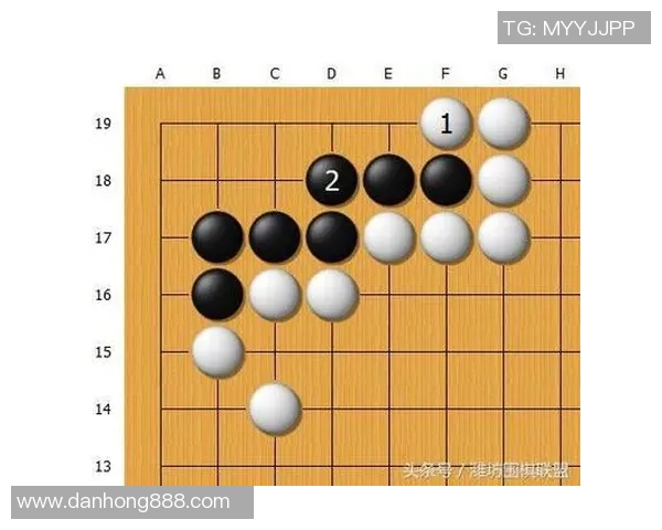 乒乓球战术解析：深入探讨上海乒乓球队的包夹体系与实战应用
